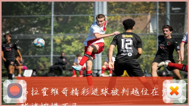 弗拉霍维奇精彩进球被判越位在先球迷惋惜不已